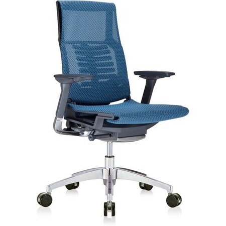 Eurotech - The Raynor Group POWERFIT CHAIR EUTPFT2BLKMBLU